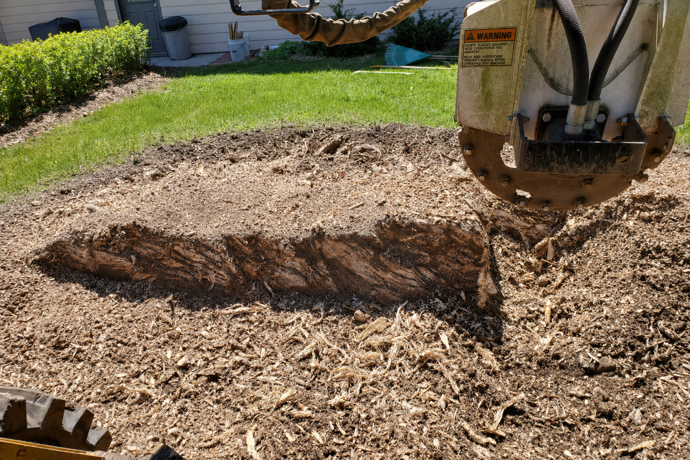 Stump grinding in Wildomar, CA